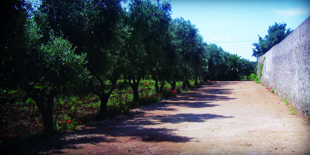 פרנקווילה פונטנה Masseria Nuova מראה חיצוני תמונה